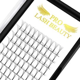 Premade Volume Eyelash Extensions 4D-C-0.07-12 Long Stem C D Curl Premade Fans Eyelash Extensions Volume Lash Extensions .07 .10 Premade Volume Fans Pre made Lash Fans (4D-C-0.07,12 mm)