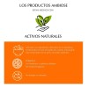 Protector Solar Fps Efecto Mate Resistente Agua