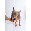 Dur Dog Bone Chew Toy For Small Dogs, Blue/Orange -
