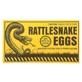 Rhode Island Novelty Joke Rattlesnake Egg Envelope, Set of 6