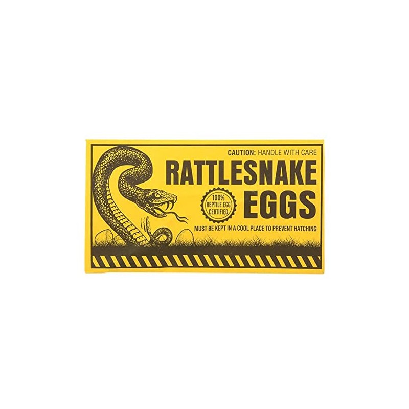 Rhode Island Novelty Joke Rattlesnake Egg Envelope, Set of 6