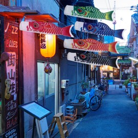 Toddmomy 5Pcs Japanese Carp Fish Flags - Colorful Satin Windsocks for Indoor and Outdoor Decor, 27.5 Inches Long, Ideal for Gardens, Festivals, and Cultural Displays