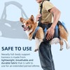 Taicols Dog Lifting Strap, Adjustable Sling for Elderly Dogs with