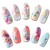 Photography Nail Pro Rainbow Animal Nail Sticker Art Material