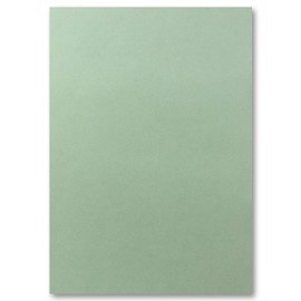 50 Sheets DIN A5 Paper - Eucalyptus - 120 g - 14.8 x 21 cm - Craft Sheet Coloured Paper Craft Paper Writing Paper - FarbenFroh by GUSTAV NEUSER by Gustav Neuser