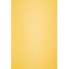 Netuno 25 Sheets of Craft Cardboard, Mustard Coloured DIN A4, 210 x 297 mm, 160 g, Circolor Saffron Coloured Card, A4 Recycled Paper, Coloured Paper Drawing Paper for Crafts, Colourful Paper,