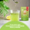 FLOR DE JAGUAR | READY Tea | Polvo sabor matcha,