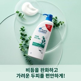 Head & Shoulders Itchy Scalp Shampoo 850ml + Treatment 850ml / 헤드앤숄더 가려운두피 샴푸 850ml + 트리트먼트 850ml