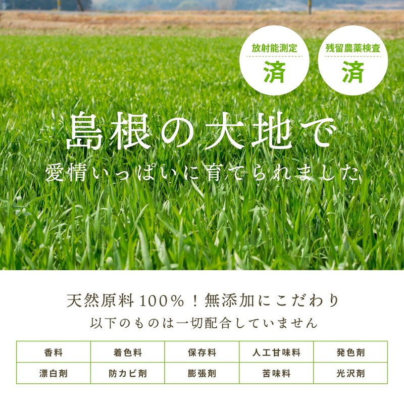 ミッシーリスト 美力青汁 4g×30包 青汁 国産 無添加 粉末 大麦若葉 乳酸菌 菌活