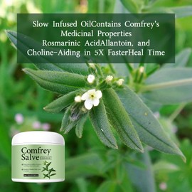 TLM Salve Comfrey Organic, Barbara Comfrey Herbal Salve,Australia Dr Recommended Organic Formula,Organic Herbal Salve,Herbal Salve Comfrey 4oz