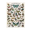 Cavallini Decorative Paper - Nos Bons Papillons 20"x28" Sheet