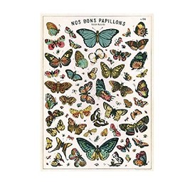 Cavallini Decorative Paper - Nos Bons Papillons 20"x28" Sheet