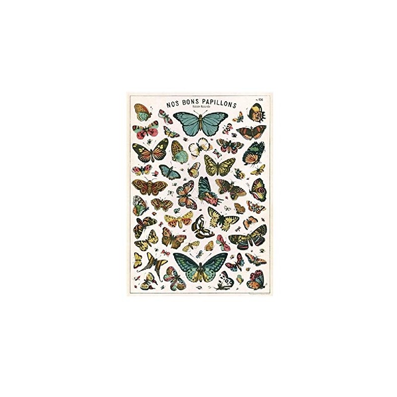Cavallini Decorative Paper - Nos Bons Papillons 20"x28" Sheet