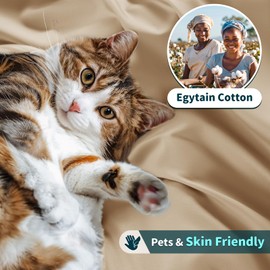 LBRO2M 100% Cotton 1200 Thread Count Queen Size Sheets Set,16 inches Deep Pocket,Bed Sheet 4 Piece Sets (Queen, Cream)