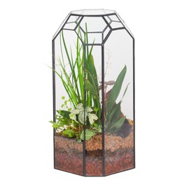NCYP Open Glass Geometric Terrarium for Plant, Succulent, Cacti - 5.5"x5.5"x12.8" - Indoor Tall Octagon Planter, Home Garden Office Vintage Decoration, Micro Landscape (Terrarium Only)