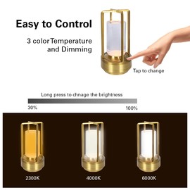 Cordless Luxury Rechargeable Metal LED Lantern, Table Lamp Portable with 3 Color Temperature Stepless Dimming Indoor Outdoor Use for Bedroom, Restaurant, Bar, Coffee Shop, Camping (Gun Metal)