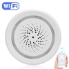 2.4GHz WiFi Temperature Humidity Sensor Detector Sound Light Alarm Smart