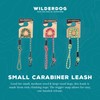 Wilderdog Climbing Rope Small Carabiner Dog Leash - Cascade -