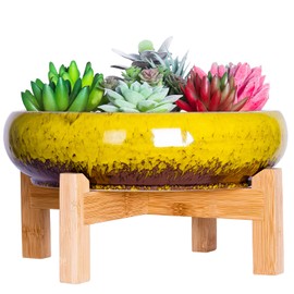 ARTKETTY Large Succulent Pot with Drainage, 10 Inch Round Succulent Planter Pot with Stand Shallow Ceramic Bonsai Pot for Indoor Plants, Flower, Cactus