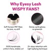 Eyesy Lash 500 Wispy Promade Fans - 5D 0.07 Size
