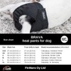 FinNero Pet Products, Finland – BRAVA Heat Pants (4)