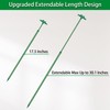 Extendable Plant Stakes, Length Scalable from 17.5IN to 30.1IN Plant