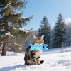 Pai Sence Winter Catnip Toys for Large Cats Adult Indoor
