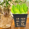 GANAZONO 8Pcs 4.33 Inch Hydroponic Net Pots Square Mesh Planting