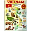 Vietnam Graphic Map and Attractions Souvenir Fridge Magnet 2.5" X