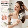 Electric Spray Air Cushion Massage Comb, 3-in-1 Electric Spray Hair