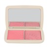 FOCALLURE Cheek Blusher Highlight Powder MultiFunctional Cosmetic Set Makeup Supplies(#2