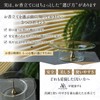 Anoverite Stylish Glass Incense Burner, Ash Spill, Interior Glass Incense