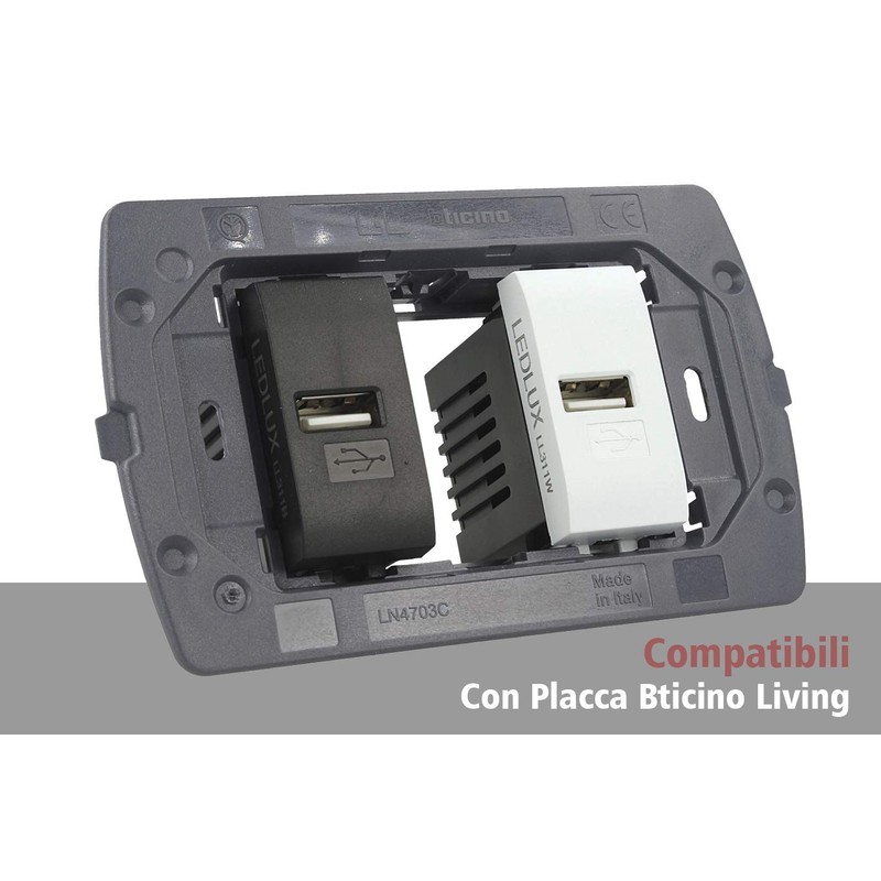 2 USB Charging Modules 5V 2.1A Compatible with Bticino Living