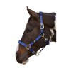 Hy Deluxe Padded Head Collar: Green: full size