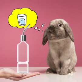 Pack of 2 Rabbit Drinking Bottles, Winterproof Drinking Bottle, Guinea Pigs, Drinking Bottle, Rabbit with Holder, Rabbit Drinking Bottle, Hamster Drinking Bottle, Rodent Drinker, Small Pets