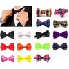 Lizzy Mens Classy Pre Made BOW TIE Wedding Party formal