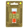 Sugarflair Blossom Tint Edible Dusting Colour - Sunset Orange