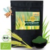 Bio Gerstengrassaftpulver - reines Saftpulver - ohne Zusätze- das Original