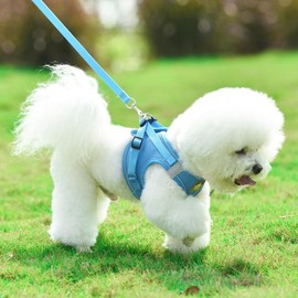 Blue Medium Dog Harness and Leash Set – Soft Mesh, Reflective, Adjustable, Step-in No Pull Puppy Vest for Walking – Breathable Pet Harness for Small Breeds, 6.6-9.9 lbs, (M (Pack of 1))