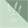 Medium 210mm 'Simple Lavender Plant' Clear Static Window Cling Sticker/Decal