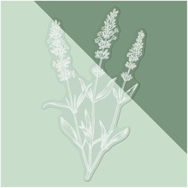 Medium 210mm 'Simple Lavender Plant' Clear Static Window Cling Sticker/Decal (White) (WC00112969)