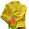 1 Pair Parrot Anti-bite Glove Bird Bite-Proof Bird Chewing Safety