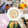 Birds Running Wheel Exercise Toys - Parrot Exercise Wheel Interactive