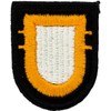 101st Airborne Division 2nd Battalion Flash