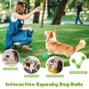 HIPPIH Indestructible Squeaky Dog Toys, Interactive Dog Balls 2 Pack,