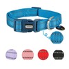 YUDOTE Reflective Adjustable Nylon Dog Collar with Reflevtive Soft Neoprene