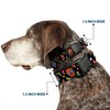 Buckle-Down Plastic Clip Collar - Colorful Calaveras Black/Multi Color -
