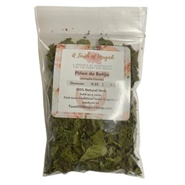 Pinon de Botija Dried Herb | Jatropha Curcas | Physic Nut | Powerful Herb used for Protection & Spiritual Cleansing | Contains 0.5 Ounces | Santeria | Hoodoo | Voodoo
