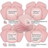 Paños Desmaquillantes Reutilizables, Almohadillas de Microfibra para Limpieza Facial Profunda,