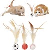 WADY 3PCS Interactive Feather Ball Toy for Cats - Bouncy